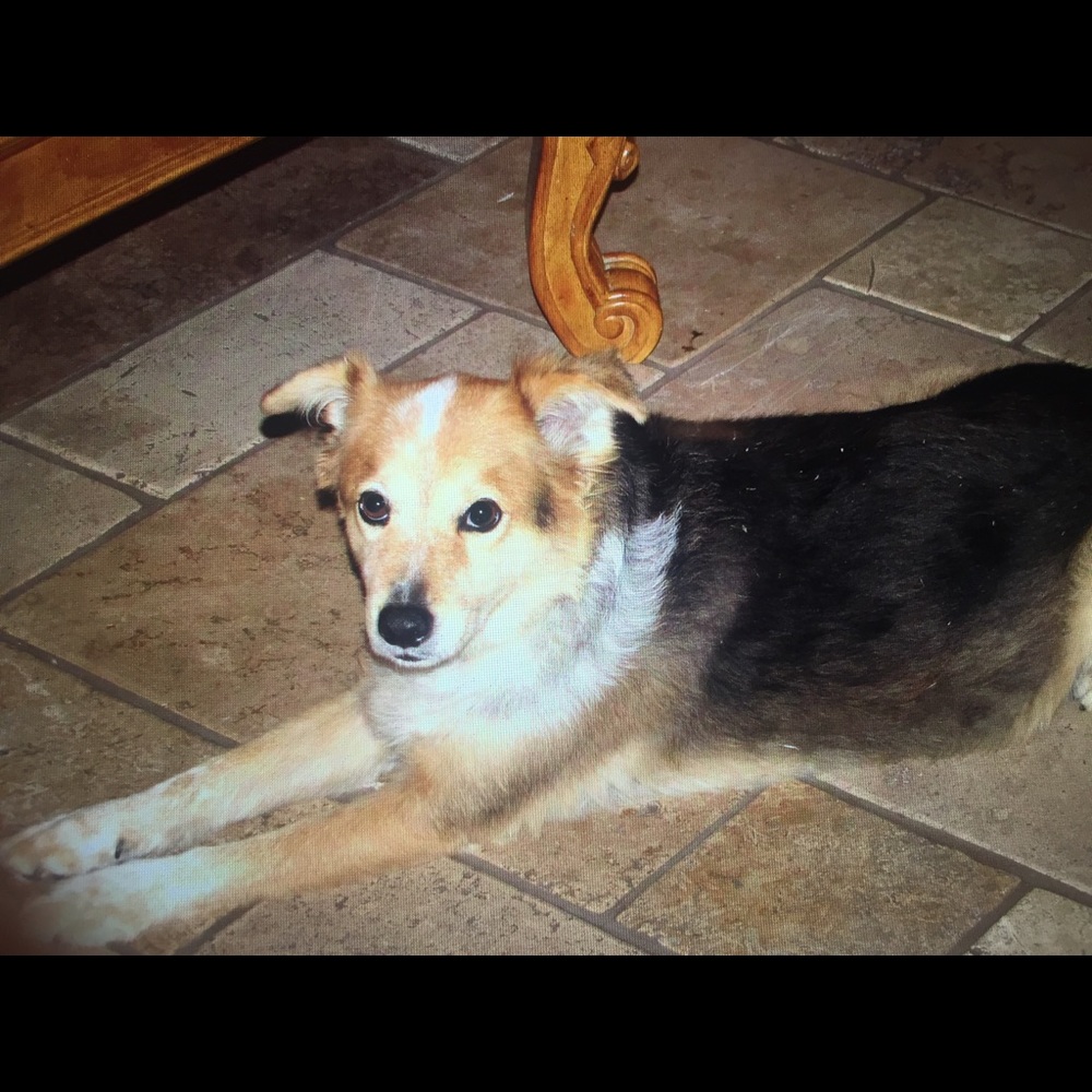 Meet your Posher, Elaine